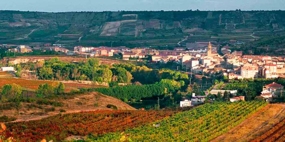 Ruta del Vino en coche de alquiler - cenicero